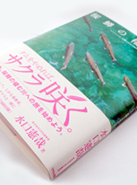 新刊 桜鱒の棲む川 内容紹介 ３ フライの雑誌社