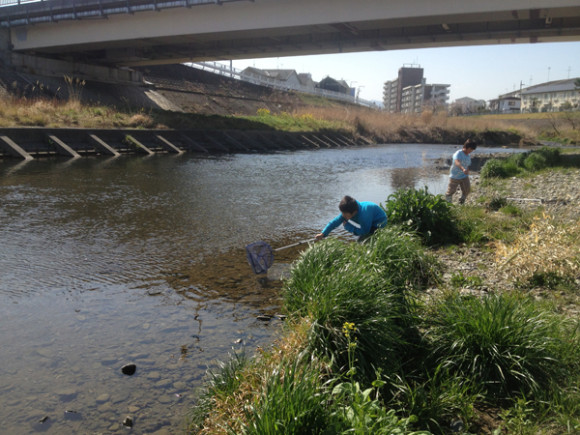 ほんの少しの可能性でもあれば、生きている限り生きようとするのが生き物だ。 近所の子ども2名を連れて浅川の少し上流へ生き物を獲りに行った。 おい、そんなところにはなんもいないよ。