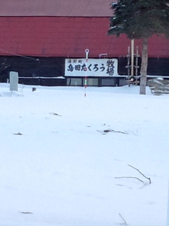 雪の中に看板が・・・