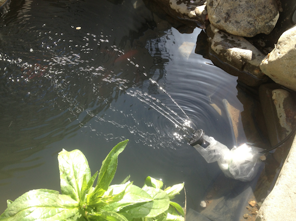 ぶしゅー。勢いよく水が噴き出てきた。すごいぞ太陽。