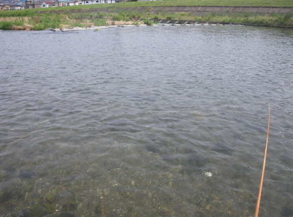 上流から風がびゅおびゅお吹いてるから、下流へ流しちゃった。