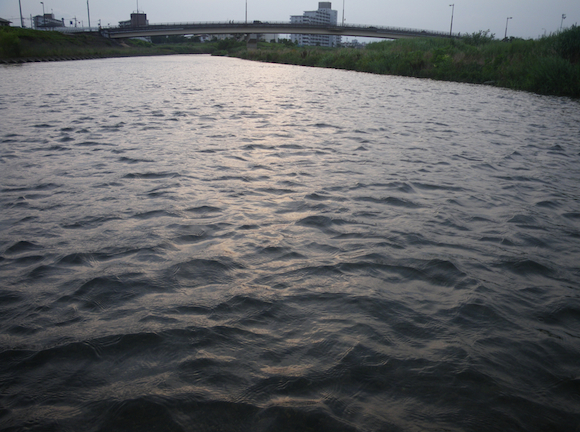 夕方も来ちゃった。