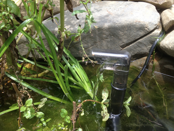 水中ポンプで吸い上げる水量を最小にしてみた。池の畔に座ってエルボーからしょぼしょぼと流れ出る水をずっと見ていたら、おじさんなんだか哀しくなってきちゃったよ。ハヤ釣りでも行くかな。