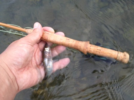 やっぱり釣れた方がいいな。 