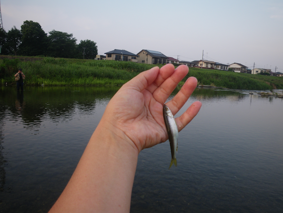 １匹目、釣れたよ。