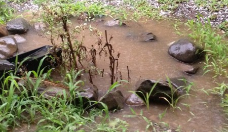 水が抜けているくせに、ひとたび雨が降るとこうなる。