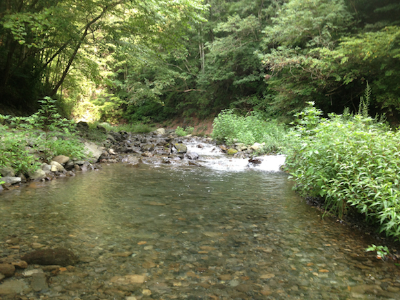 わたしがキャンプ場および宿を選ぶ基準は、目の前の海や川や湖でおさかな釣れること。昨日ももちろんばっちり結果を出した。