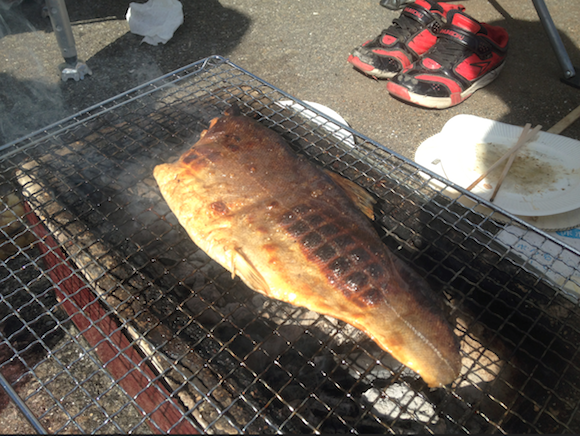 ビワマスも登場。ふつうに暮らしていたらまず食べられないマスでございます。ありがたい。サケマス類のなかで三本の指に入るうまさだと思います。