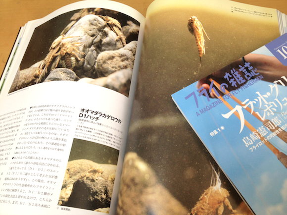 新装版 水生昆虫アルバム』はこちらのお店で見られます。 | フライの雑誌社