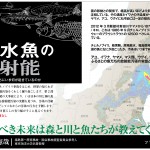 選ぶべき未来は森と川と魚たちが教えてくれる。─『淡水魚の放射能　川と湖の魚たちにいま何が起きているのか』（水口憲哉＝著）