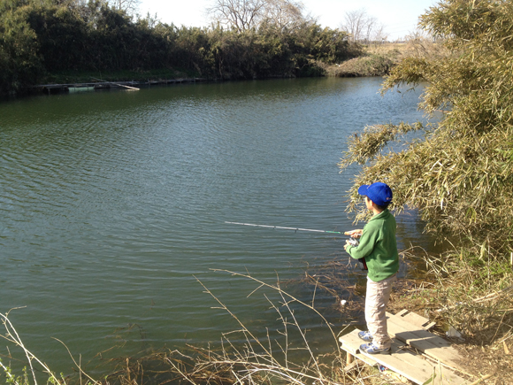近くの池へちょっと釣りに行ってきた。秩父の川でよく会う子どもとここでも会った。「釣れないねえ」と言っていた。「ルアーでバスを釣りたいんだよ」。