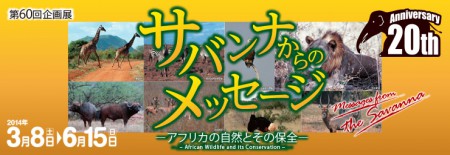 第60回企画展「サバンナからのメッセージ－アフリカの自然とその保全－」