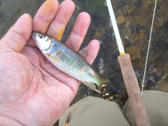 ちゃぶ台から歩いて3分のパライソ