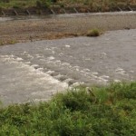 大雨が降ると川の様子を見たくなる年寄りの本能に従い、さっき見てきた今のあさ川はこんな感じ。今日の釣りはむりっぽい。このまま落ち着いてくれれば明日はよさそう。