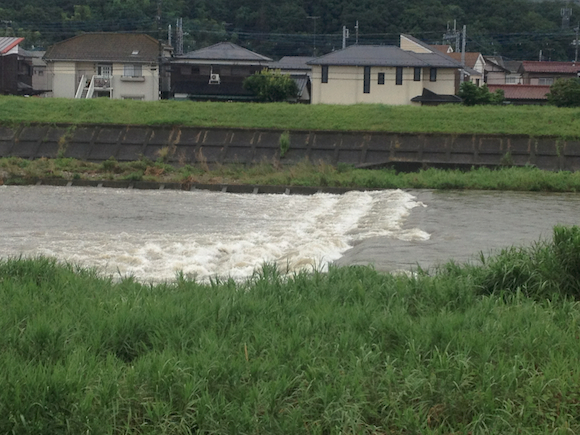 大雨が降ると川の様子を見たくなる釣り師の本能に従い川を見てきた。さすがにこれでは釣りする気にならない。といいつつ実際は（流れのふちに魚たまってっかな）とか思って毛バリをしつこく流してみたりしたのは内緒。