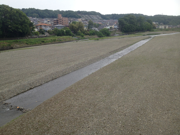 毎度おなじみの京浜河川事務所のすてきなお仕事。この川だってほんの数十年前には海からウナギがのぼっていた。