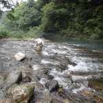 いつもいる地元の子どもがまたいた。シモへ行ってひとりで釣りたいと生意気を言う。水量が少なめで危険はないだろう。じゃあ行けばと言ったら、一人でふらふらしながら川を渡り始めた。その背中。