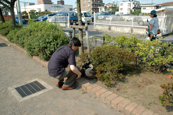 2004年、仙川駅前にて。キジ、アメリカオシドリのj夫婦の剥製をなぜか花壇に置くという、あまりにも怪しい動きをしているカブラー斉藤氏。いま思うとよく捕まらなかった。