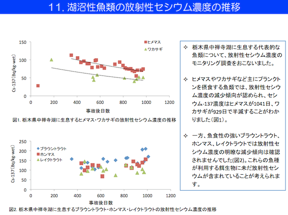 平成25年度　東京電力福島第一原子力発電所事故対応の調査研究における主要成果　水産総合研究センター