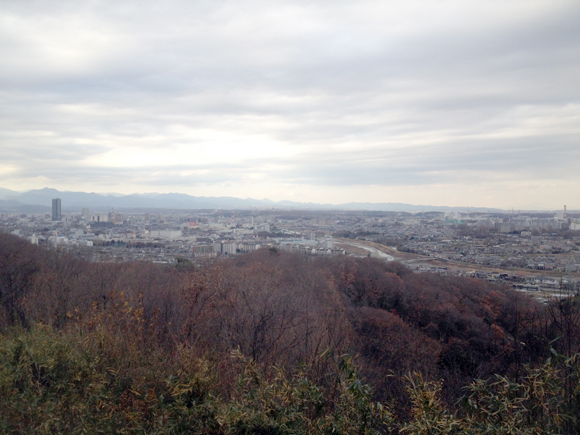 裏山へ登った。風雲、急を告げない景色。