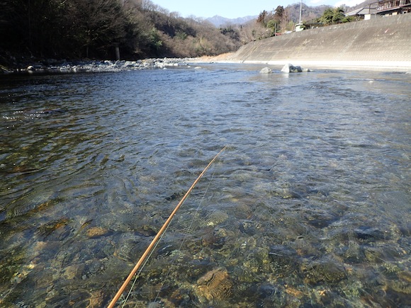 今日こそは、と川に来た。