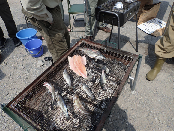 今日はとくべつに釣った魚を食べられます。