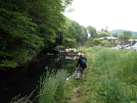 人が多い場所は苦手なものでじつはけっこう久しぶり。ところが日曜日の晴れた午後なのに超人気ポイントのココで釣り人の影なし。地元の子どもがひとりで釣ってるだけでした。地元なのに「おれ忍野で釣ったの初めて」だそう。「なんだ、エルクで釣れるんじゃん」。きみ、おしのをなめるな。戦略とかノオトとかたくさんあるんだからな。