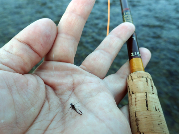 フライはさっき仕事場で巻いてきた。小さい魚は釣りたくないので18番。