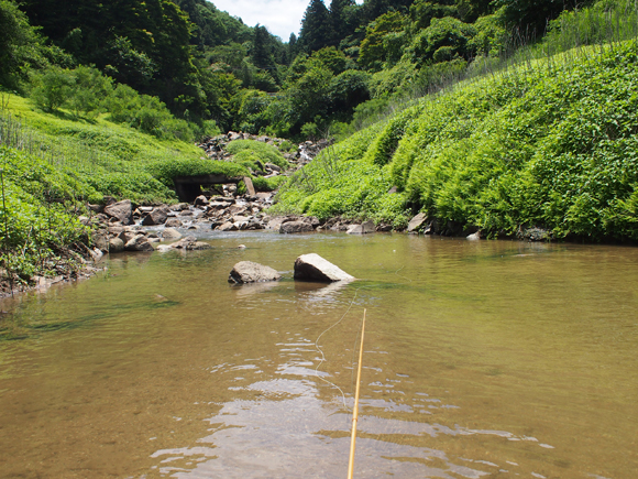 こんなポイントから