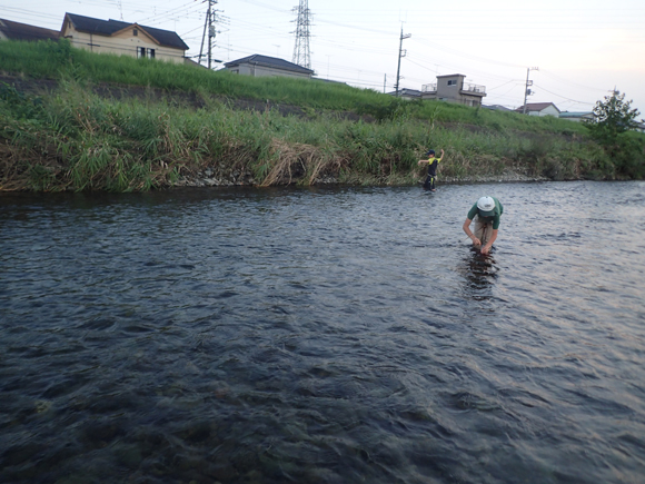 三人横に並んで釣りくだってバンバン入れ食いだった。一荷も何度も。こういうフライフィッシングはあんまりない。