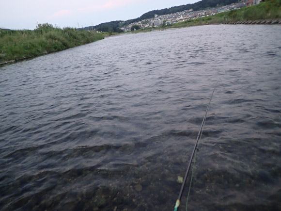 一昨日はひとりでフラットにたちこんだ。仕事の関係で夕方15分だけ。「川行ってきていい？　川！！」。だれだってあの勢いで頼まれれば「いいよ。」と答えるしかないだろう。