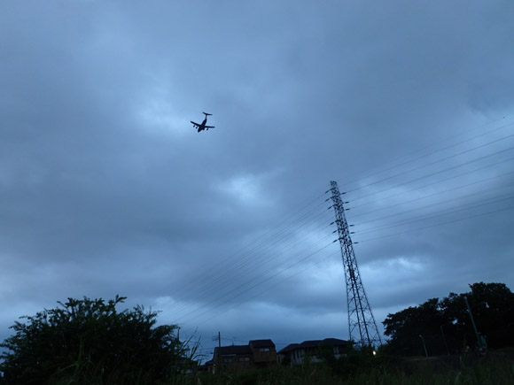 ずっと釣りしたいから戦争なんか起こすんじゃないよ。