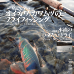 『フライの雑誌』第106号｜〈2015年9月12日発行〉｜ 大特集：身近で深いオイカワ／カワムツのフライフィッシング─フライロッドを持って、その辺の川へ。｜オイカワとカワムツは日本のほとんどどこにでもいる魚だ。最近になって、オイカワとカワムツがとても美しく、その釣りは楽しく奥深いことを、熱く語るフライフィッシャーが増えている。今号ではオイカワとカワムツのフライフィッシングを、大まじめに真っ正面から取り上げる。この特集を読んだあなたは、フライロッドを持ってその辺の川へ、今すぐ釣りに行きたくなるでしょう。 新連載　本流の［パワー・ドライ］ Power Dry Flyfishing　ビッグドライ、ビッグフィッシュ｜ニジマスものがたり