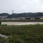  今朝の川。だいぶ落ち着いた。大雨のときに川の様子を見に行くのはお薦めしません。と書いておかないと〝子供が真似して川へ行って流されたらどうすんだ〟とか言ってくるこころ優しい人がいる。ふだん川なんか見ていない人に限って、ちょっと川が増水すると、やれ大雨こわいだ、やれ氾濫するとたいへんだ、やれ護岸が弱いだ、やれハザードマップがどうだ、やれスーパー堤防だと騒ぎたがる。川を誰かに任せて、わたしたちはもうさんざん失敗してきた。川はそれぞれ。人もそれぞれ。