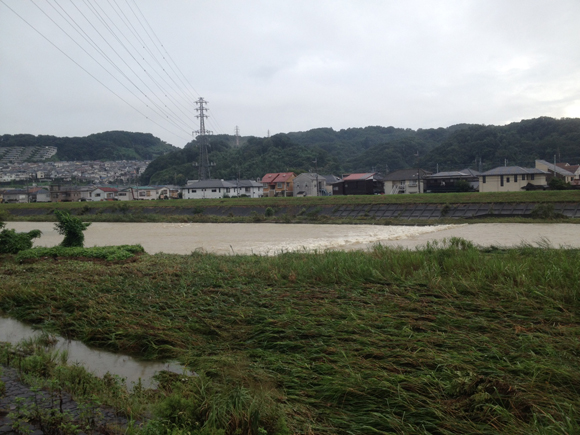  今朝の川。だいぶ落ち着いた。大雨のときに川の様子を見に行くのはお薦めしません。と書いておかないと〝子供が真似して川へ行って流されたらどうすんだ〟とか言ってくるこころ優しい人がいる。ふだん川なんか見ていない人に限って、ちょっと川が増水すると、やれ大雨こわいだ、やれ氾濫するとたいへんだ、やれ護岸が弱いだ、やれハザードマップがどうだ、やれスーパー堤防だと騒ぎたがる。川を誰かに任せて、わたしたちはもうさんざん失敗してきた。川はそれぞれ。人もそれぞれ。