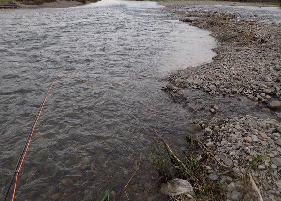 大水の後の荒れた川。魚はいた。