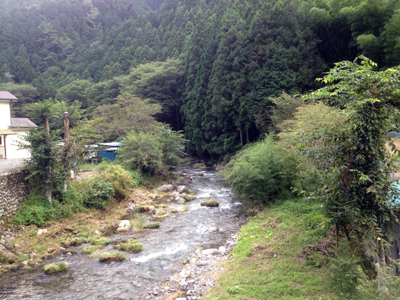 ここまでボウズだった地元の子どもは、あそこらへんで今日初めての一匹。フライはわたしがあげたM&E。一安心。