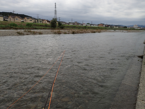 一段落ついたから昼ハヤ。河川改修でこんなにつまらなくされた流れでもオイカワはたくさんいる。そこらへんの人間と魚の事情は104号の「水辺のアルバム」に水口憲哉氏が書いてくれた。あの記事があったから106号のオイカワ特集につながった。こうしてイメージがふくらんで次のテーマへズルズルと勝手につながっていくのが、雑誌づくりの姿勢としては理想的じゃないかと思っています。