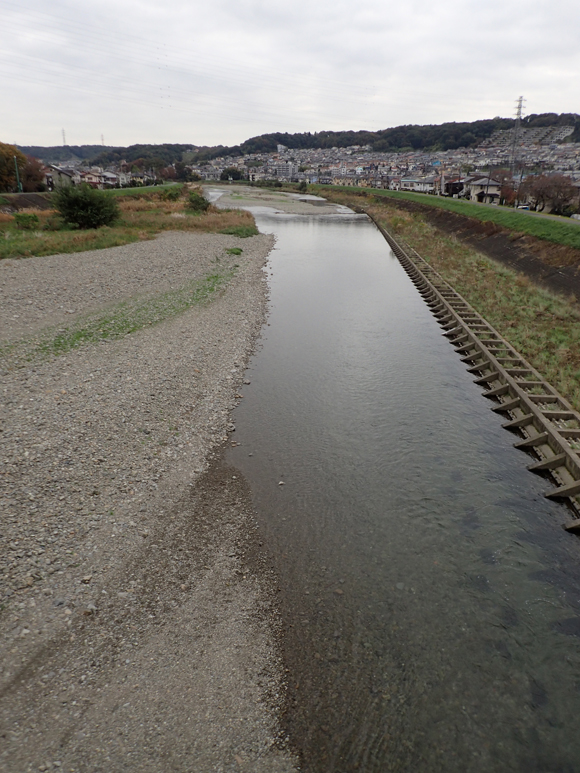 長沼橋中央から下流をのぞむ。わたしがいちばん通っているオイカワ釣り場。