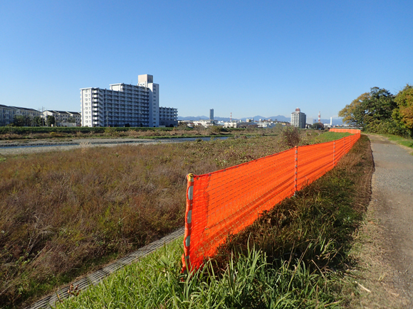 いかに相手が悪名高き河川行政とはいえ、行政と住民とが、お互い誠実に、真摯に向かい合えば、対話は可能だと信じていた。しかし信義は破られた。川はこの有様だ。これが京浜河川管理事務所のやり方ならば、こちらも今後の対応を改める。