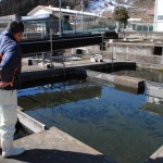 川場養魚センターさんにて