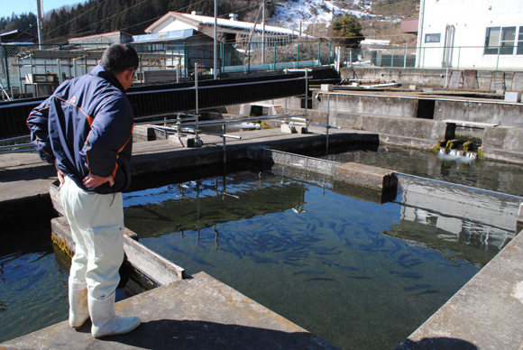 川場養魚センターさんにて