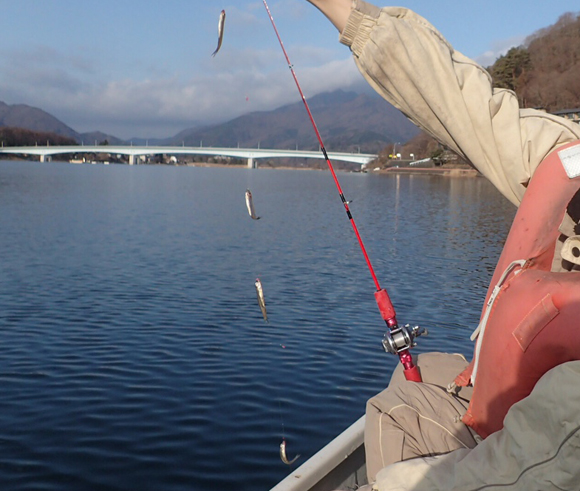 地元の半プロの方の釣果。「４連くらいは普通かな。」だそうだ。