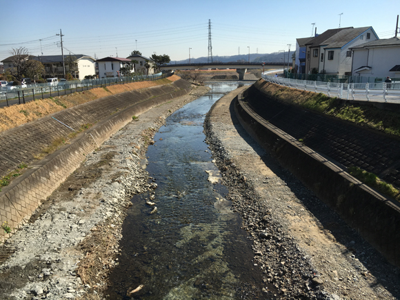 浅川合流点上の湯殿川。オイカワが産卵しカワセミの渡る流れだったが、昨年暮れからの工事でこうなってしまっては三面護岸までもうすぐ。その先は暗きょ化。東京都南多摩西部建設事務所の仕事。 