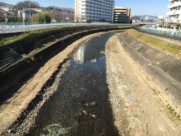 八王子市を流れる湯殿川は、魚道改修、遡上期の堰開放、汲み上げなどの努力で、2015年には何十年ぶりかで東京湾多摩川から天然アユが大挙遡上した。地元民は大いに喜び、地域の話題になってもいた。でもアユを呼び戻そうと宣伝してる同じ東京都がしれっとこういうことやってる馬鹿らしさ。 