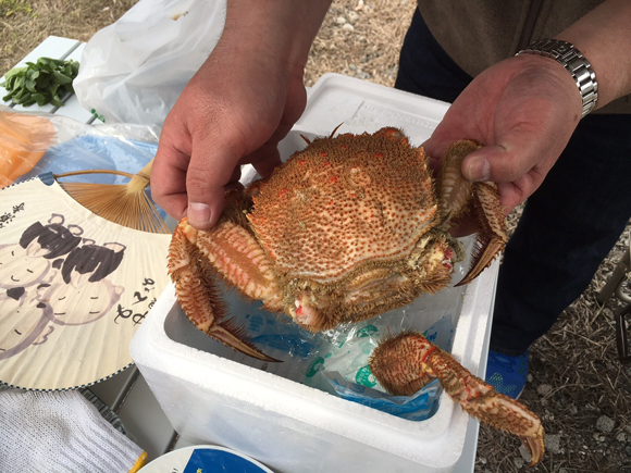 Ｔさんの北海道のご実家（漁師）から届いた毛ガニ。ああもう。