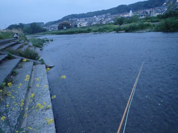 夕方には日野へ戻って来て、結局自分の狭っこい窓にはりついた。下流へ釣りくだるつもりだったが、愛を語らっている若い男女がいたので断念。おっさんは邪魔しない。