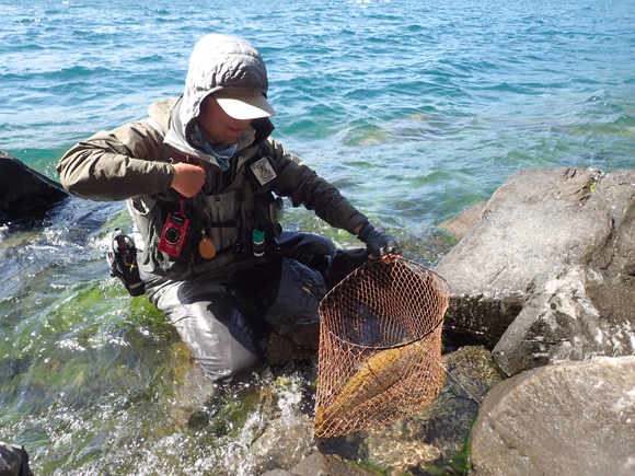 加藤毛ばり店の加藤力さんが釣った！　中禅寺湖は20年ぶりだという加藤さん。野津さんの的確なアドバイスを素直に受け入れ、かつ加藤さん自身の工夫を加え、悪条件のなか粘りとがんばりと根性と技術で見事に釣った一匹。すばらしい。