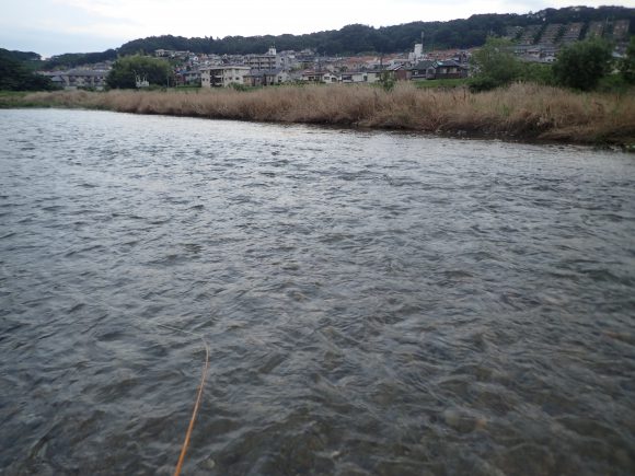 昨日のゴルゴ前（友人命名）。水が多い。魚が散ってる気がした。