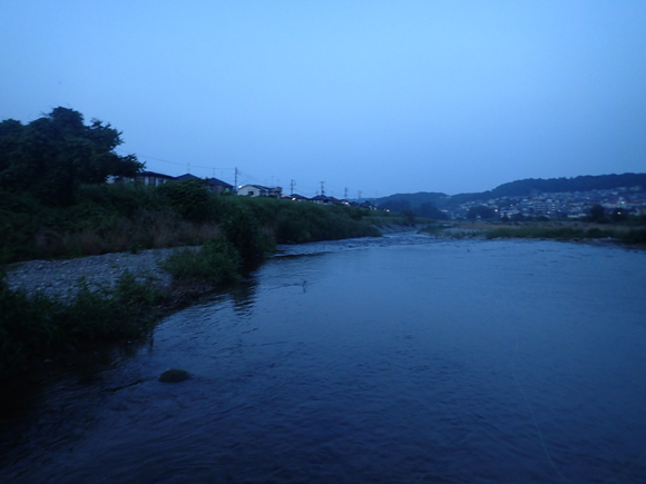 今日は少し遅めの午後6時半スタート。釣り始めてすぐ、下流方向に違和感を覚えた。タヌキがウエーディングしてる。またあいつか。